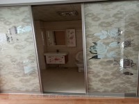 其它图
